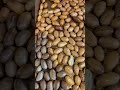 #Homemade #Peanutbutter with freshly grown and roasted peanuts | #DIY