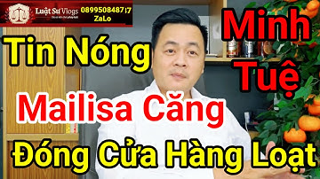 🔴 Thẩm Mỹ Viện Mailisa Bị Khám Xét Đóng Cửa Hàng Loạt? Luật Sư Vlogs