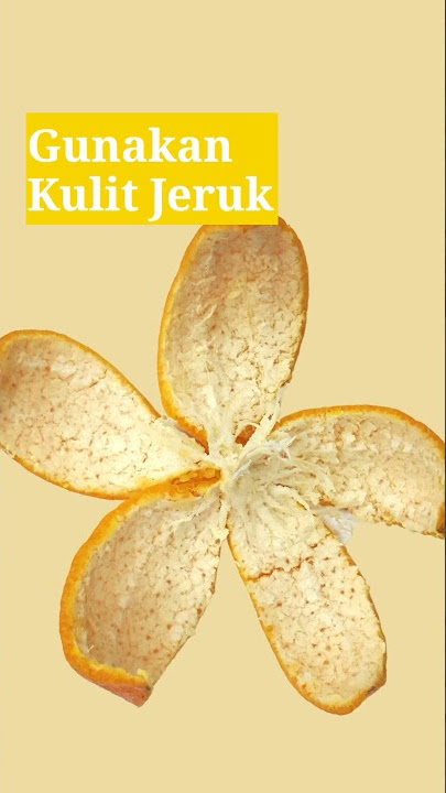 7 Cara Menghilangkan Karang Gigi Secara Alami Dan Cepat