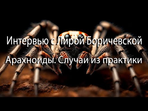 Интервью с Лирой Боричевской | Арахноиды | Люди-червоточины