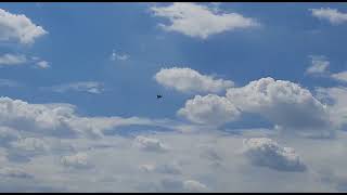 Flyfly Mirage 2000 90Mm Edf