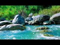 24/7 Calming River Stream – Peaceful Water Flow &amp; Green Noise for Sleep and Relaxation