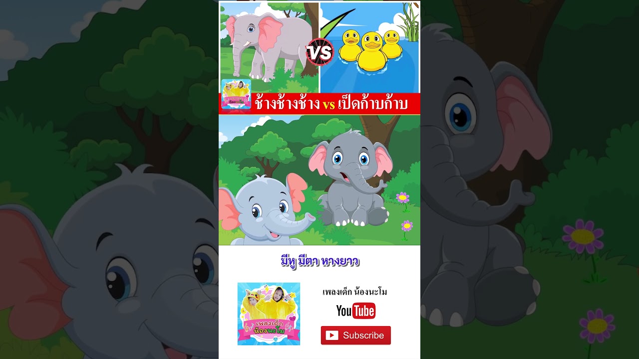 ช้าง vs เป็ด  #เพลงเด็๋กอนุบาล #เพลง #เพลงเด็กน้องนะโม