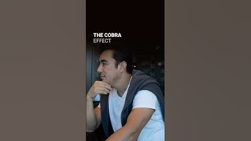 The Cobra Effect: A Mistake That Backfired!