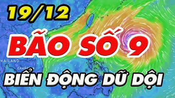 Dự báo thời tiết biển 19/12: ảnh hưởng bão kết hợp với KKL, sóng biển cao, biển động dữ dội