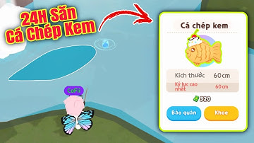 (Play Together) Thử Thách 24H Săn Cá Chép Kem Và Cái Kết Bất Ngờ