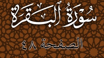 تلاوة هادئة لسورة البقرة الصفحة 48 مع مؤشر قلم للحفظ