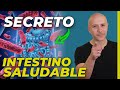 ¡EL SECRETO NO CONTADO! PARA MEJORAR TU SALUD INTESTINAL | PREBIÓTICOS Y PROBIÓTICOS