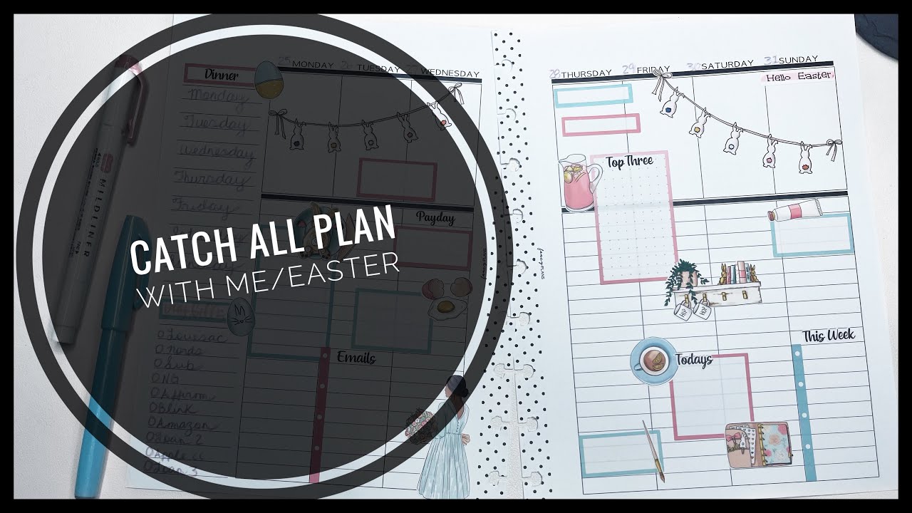 Catch all plan with me featuring Robins planning nest stickers