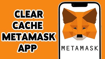 How To Clear Cache From MetaMask App 2024?