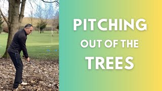 Shots You Never Practice - Pitching out of the Trees!
