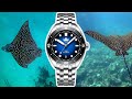 Phoibos Eagle Ray 300M Dive Watch - Specs That Put Its Rivals To Shame