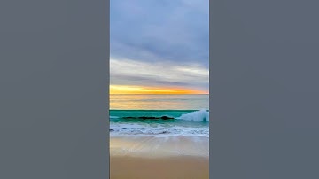 سورة التكاثر بصوت القارئ ماهر المعيقلي