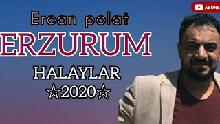 Ercan polat ERZURUM OYUN Havaları / kızlar teyo emi #YENİ 2020 Resimi