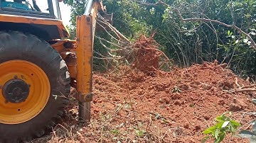 Jcb Removing Teak Trees | Jcb Backhoe Removing Tree