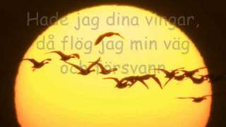 Lisa Ekdahl - Flyg vilda fågel - subt chords