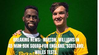 BREAKING NEWS: Williams, Norton called up to Boks, recall for Papier and Jantjies
