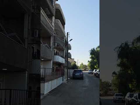 إحدى أهدئ الزوايا في ديركا حمكو زقزقة العصافير هدوء في حارة باوليا في ديرك في شمال شرق سوريا