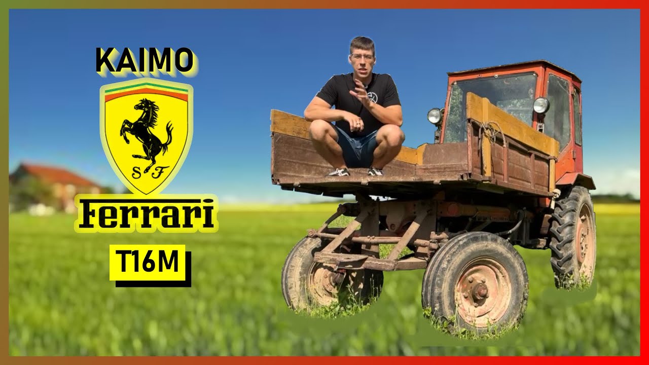 Pievų sportcar’as, darbinis arkliukas, T16M