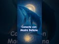 Siente su amor incondicional.