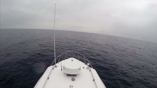 Dramatic underwater video of WWII Bomber in Lake Michigan