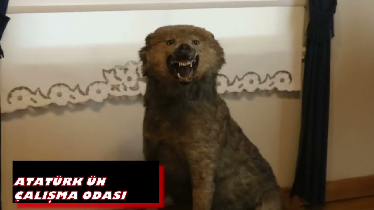 NAZİLLİ 'DEN BURSA ATATÜRK EVİ MÜZESİ