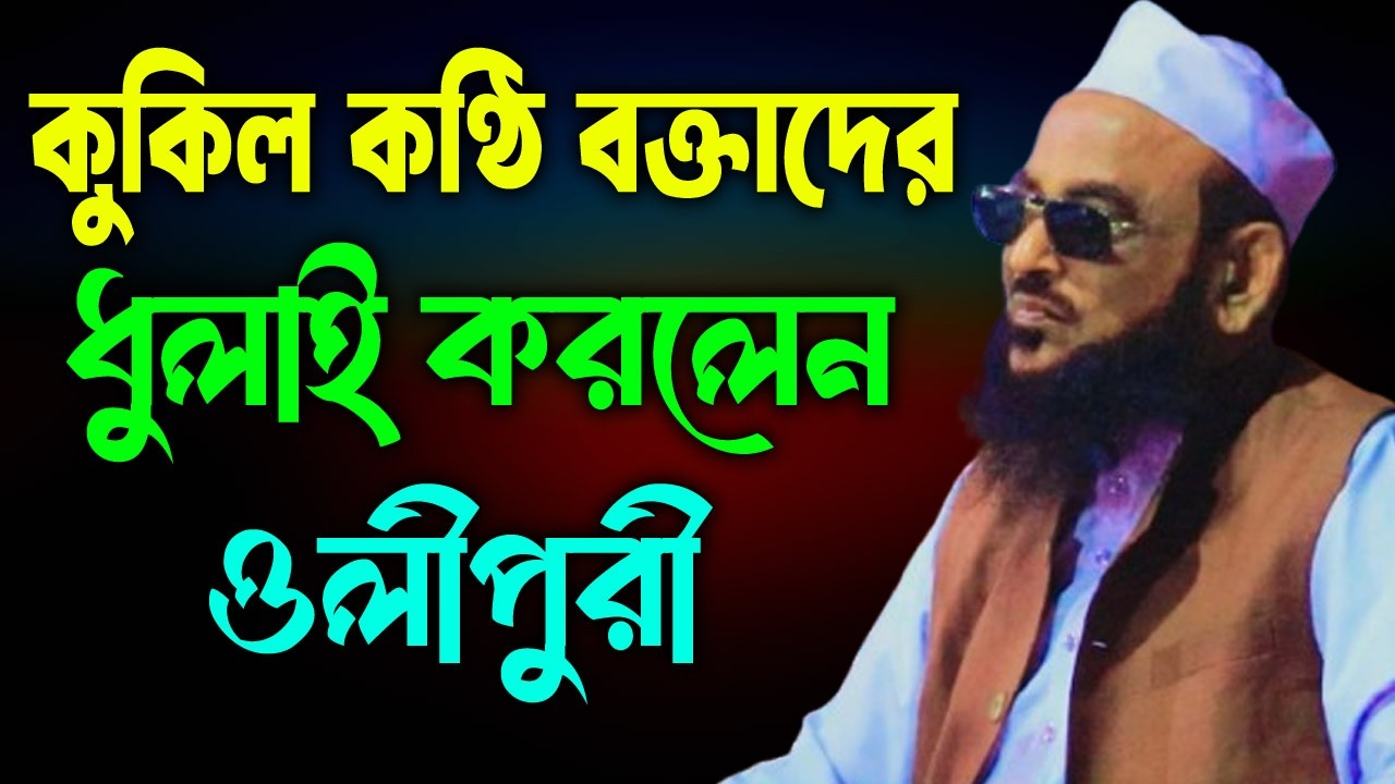 ছোট বেলায় আমি যা দেখেছি। আল্লামা নূরুল ইসলাম ওলীপুরী