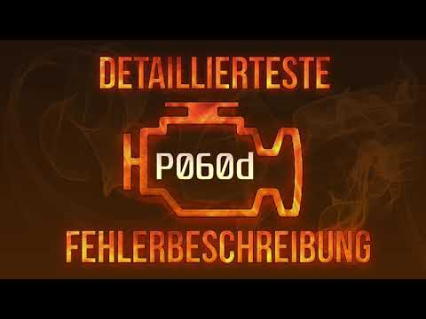 P060d detaillierteste Fehlerbeschreibung