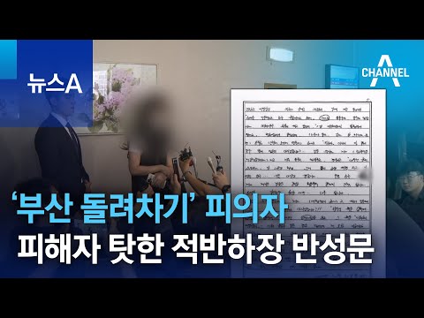 오히려 피해자 탓한 ‘부산 돌려차기’ 피의자…적반하장 반성문| 뉴스A
