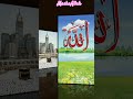 Tu Rehman Tu Rahem #shorts#status#video#islamic#youtubeshorts#viral