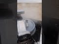 مكشات الشقايا