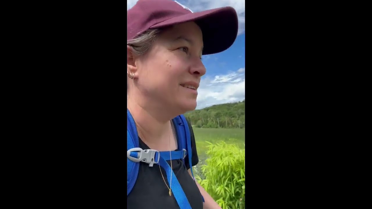 Pilegrimstur dag 5 Sløvika til Granavolden