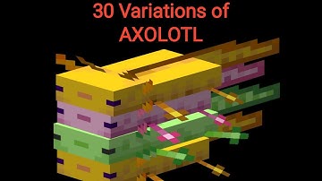 30 Variations of minecraft axolotl
