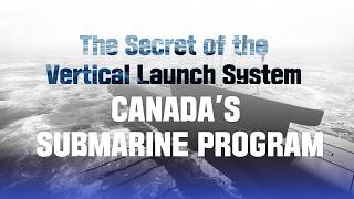 The secret of the Vertical Launch System