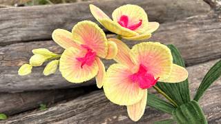 ABC TV | How to Make Phalaenopsis Orchid With Pipe Cleaner - Craft Tutorial @abctvflower