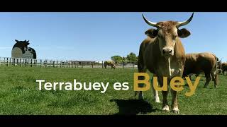 Otoño en TERRABUEY