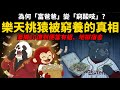 樂天集團怎麼了？從豪擲20億到便當有蛆【樂天桃猿被窮養的真相】為何富爸爸變窮酸吱 thumbnail