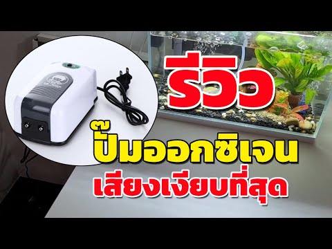 รีวิว ปั๊มออกซิเจนตู้ปลา 2 ทาง เสียงเงียบ Big Boy รุ่น 8000 เงียบที่สุด : Aquarium Air Pump