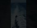 Жуткие кадры