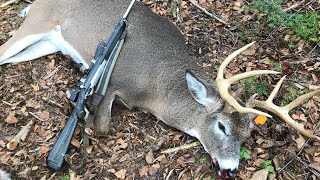 Why we name our deer