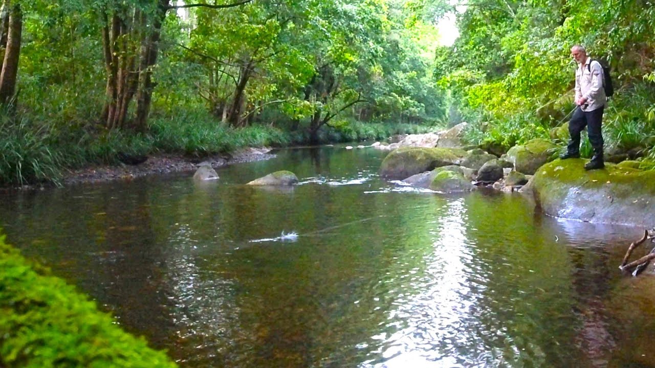 WILD BASS FISHING in CLEAR SHALLOW MOUNTAIN RIVER