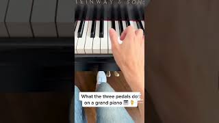 What Do The Three Pedals Do On A Piano?