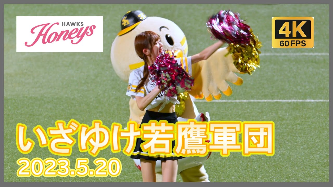 ハニーズ Ami いざゆけ若鷹軍団＠タマスタ筑後 2023.5.20