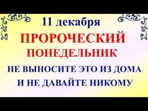 11 декабря Сойкин День. Что нельзя делать 11 ноября Сойкин День. Народные традиции и приметы