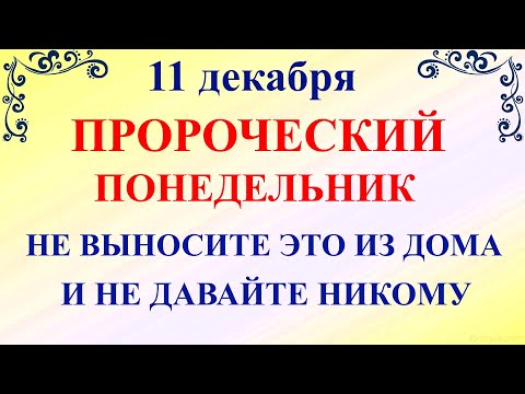 11 декабря Сойкин День. Что нельзя делать 11 ноября Сойкин День. Народные традиции и приметы