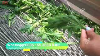Herb Washing And Drying Machine