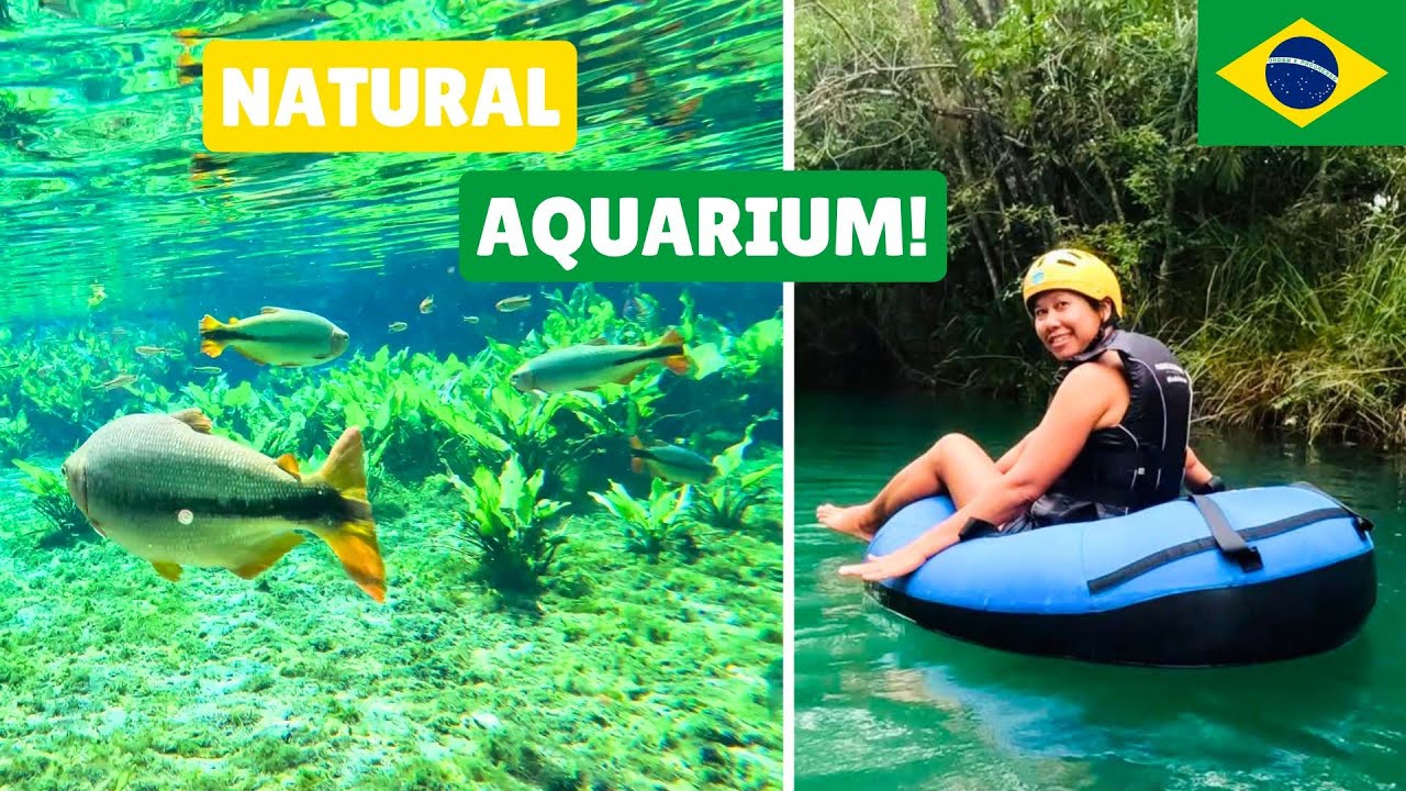 BONITO BRAZIL - Enter A Natural Aquarium! Mato Grosso do Sul