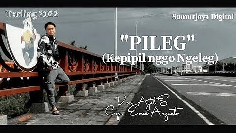 PILEG (kepipil nggo ngeleg) cover Ajat S