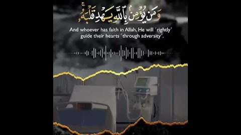 قران كريم ١٥ ثانيه