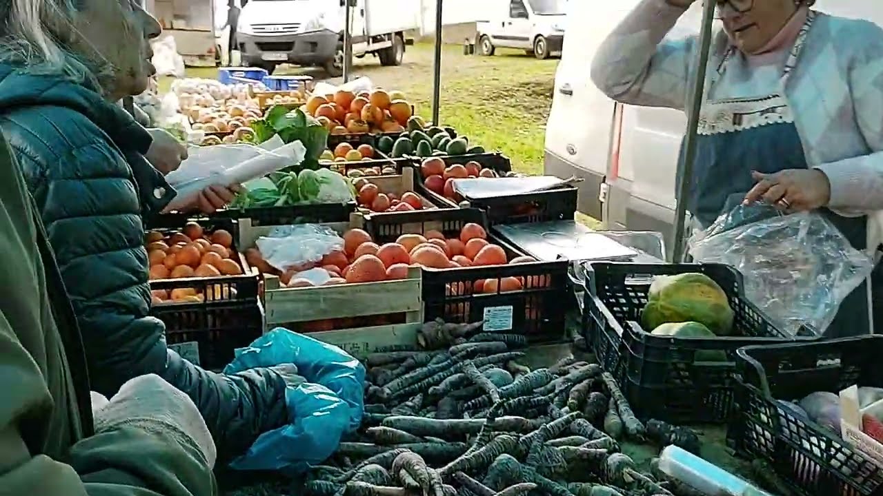 Castro Verde purple carrot 🥕 market